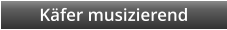 Kfer musizierend