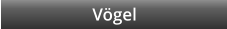 Vgel