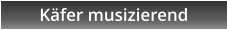 Kfer musizierend