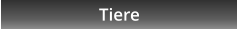 Tiere