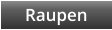 Raupen