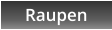 Raupen